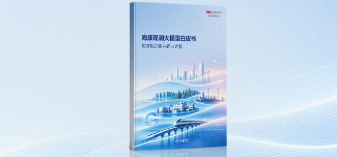 海康观澜大模型白皮书（2026年版）